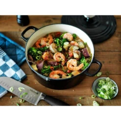 BK Bourgogne Braadpan Ø24 Cm Aqua Blue -Keukenartikelen Verkoop 102 7527 5 1